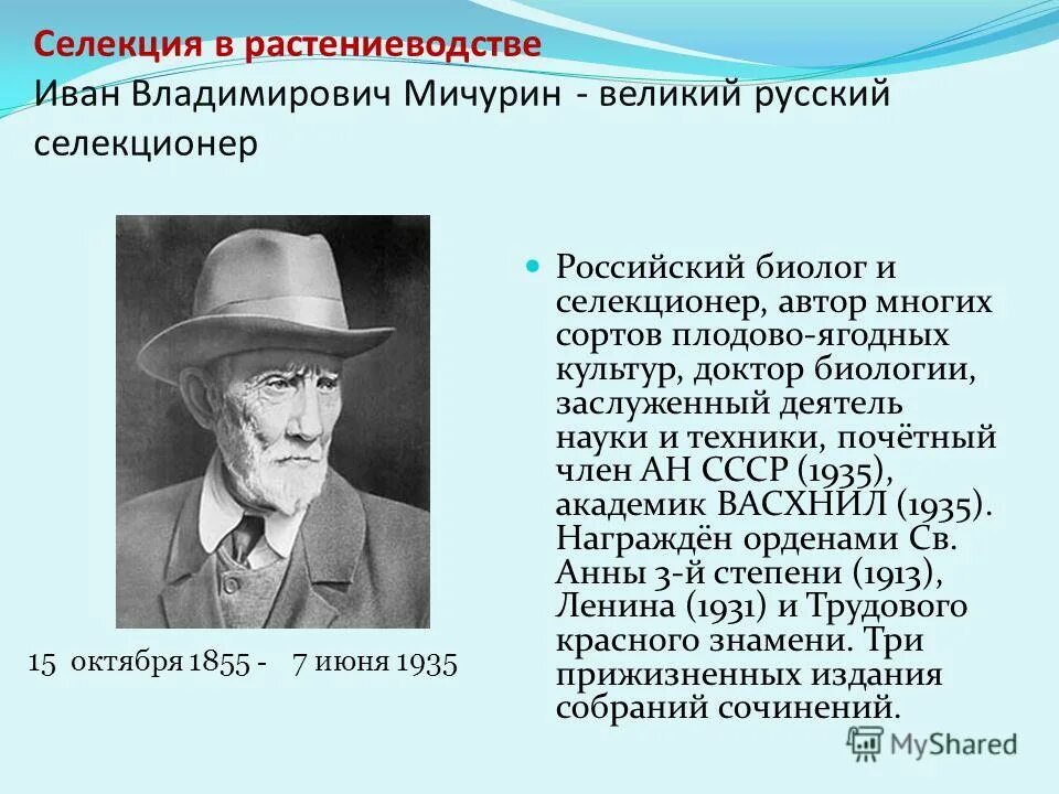 Габричевский микробиология 1860. Отечественные ученые микробиологи. Вклад отечественных ученых в микробиологию. Вклад русских ученых в микробиологию. Вклад отечественных ученых в микробиологию.