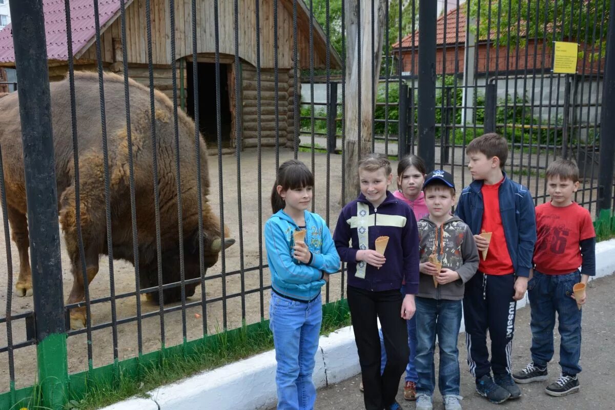 Дети в зоопарке. Экскурсия в зоопарк. Посетители зоопарка. Экскурсия по зоопарку для детей. Посещение зоопарка средняя группа