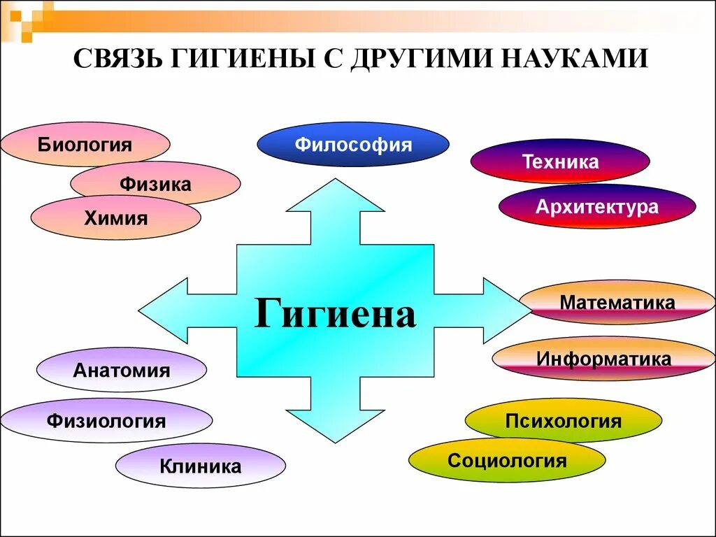 Взаимосвязь гигиены с другими науками. Связь гигиены с другими дисциплинами. Взаимосвязь гигиены с другими дисциплинами. Гигиена в других науках. Связь биологии с другими