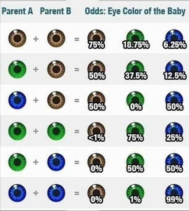 Схема цвета глаз родителей и детей. Таблица цвета глаз родителей. Сочетание цвета глаз родителей и детей. Таблица цвета глаз у ребенка.
