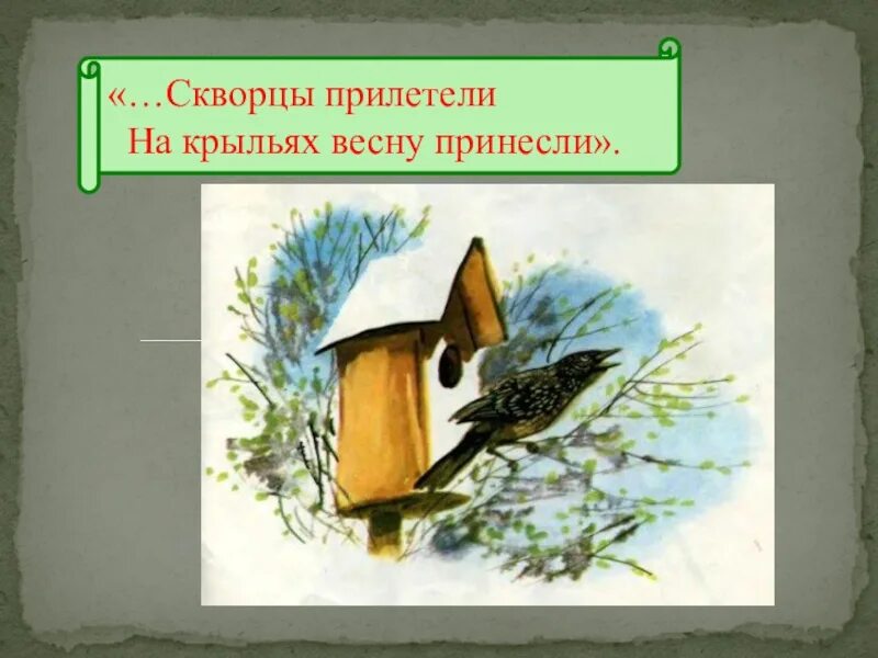 Птицы прилетели на крыльях весну принесли. Скворцы прилетают весной. Прилетели скворцы весну принесли.