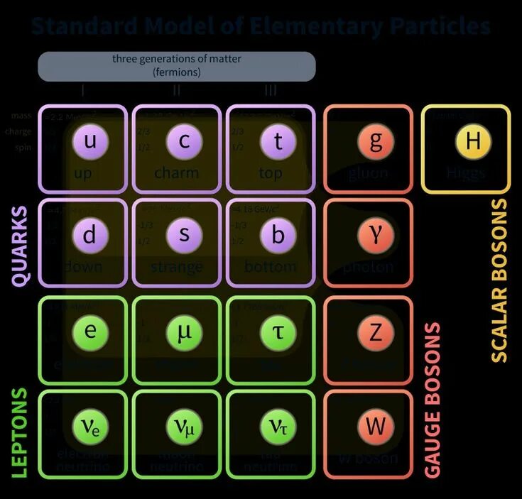 The standard model