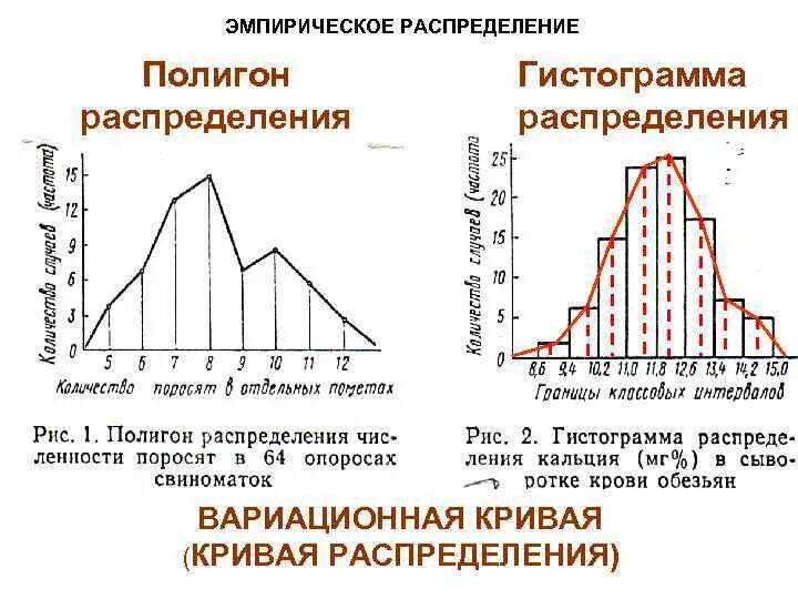 Вероятность и статистика частоты и гистограммы. Гистограмма и полигон эмпирического распределения. Полигон нормального распределения. Полигон и гистограмма статистического распределения. Эмпирическая кривая распределения.