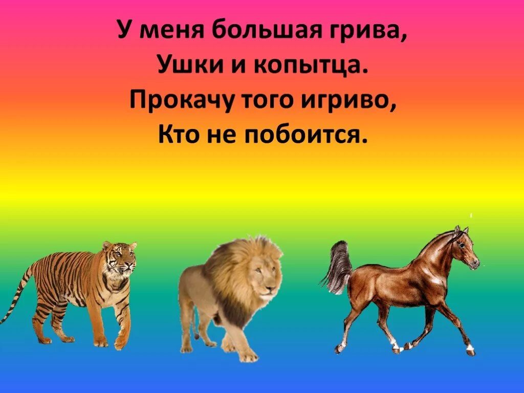 Загадки о дом животных. Загадки про зверей. загадки о животных. загадки на тему животные.