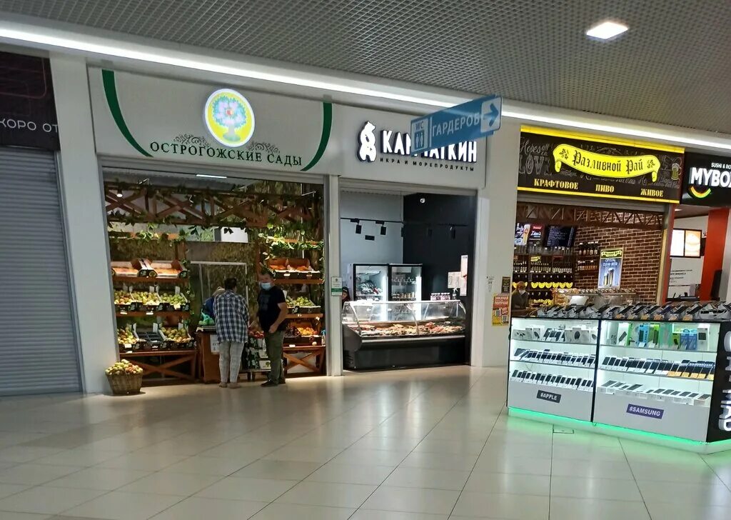 воронеж ул краснознаменная 133. камчаткин, воронеж, улица ворошилова. ворошилова, 1а. камчатка воронеж магазин. воронеж улица ворошилова 1г камчаткин.