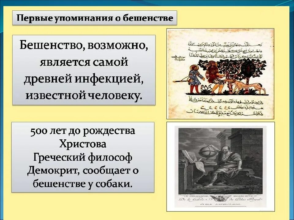 Что такое бешенство матки у женщин симптомы. Что такое бешенство матки у женщин симптомы и признаки. внешний вид больных бешенством людей. бешенство матки после 40.