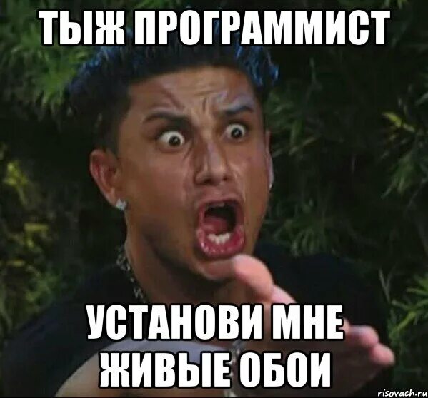 Не берут программистом