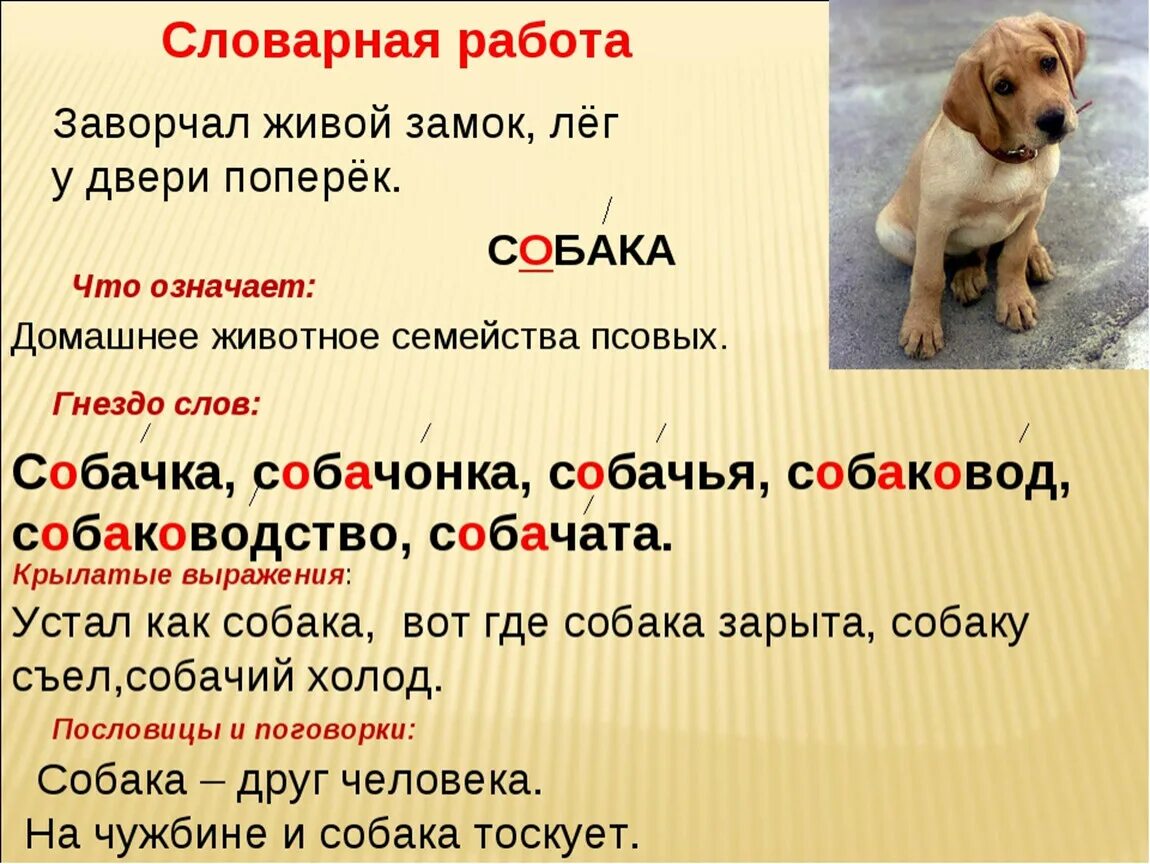 Огромного пса падеж. Огромного пса падеж