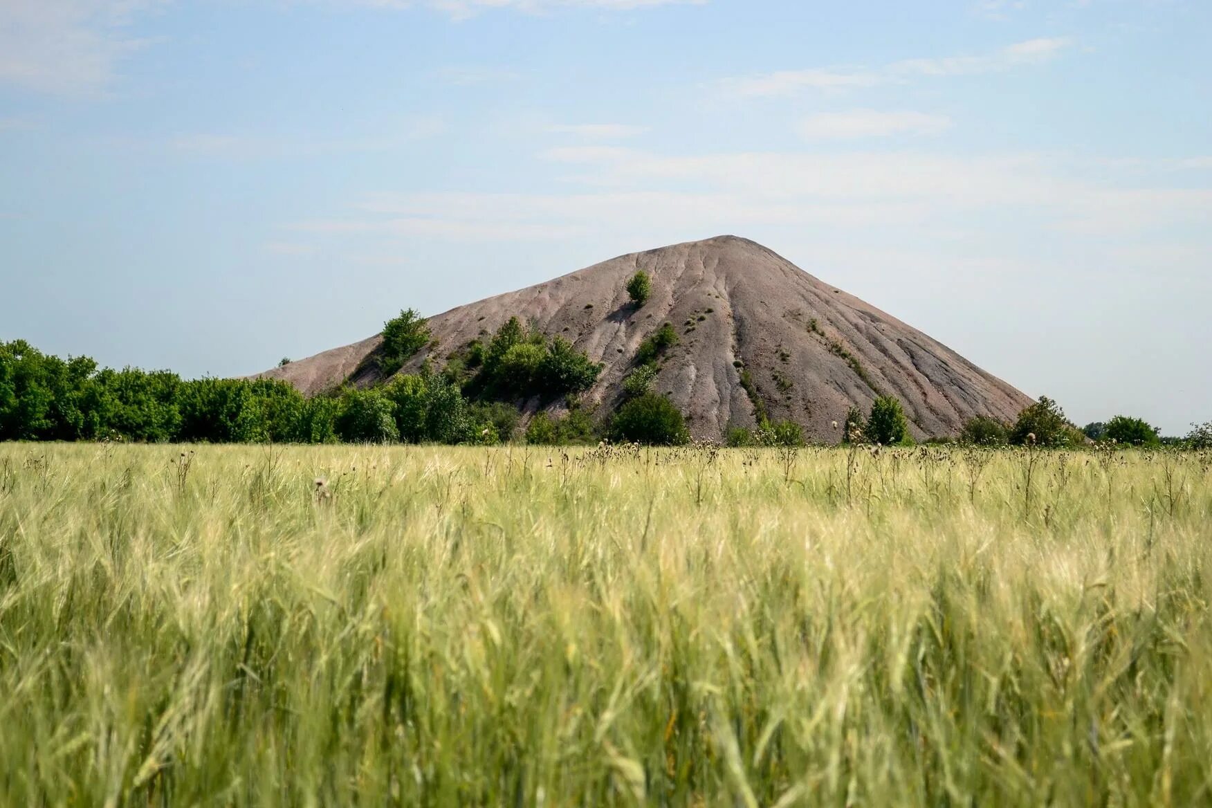 Земли донецка