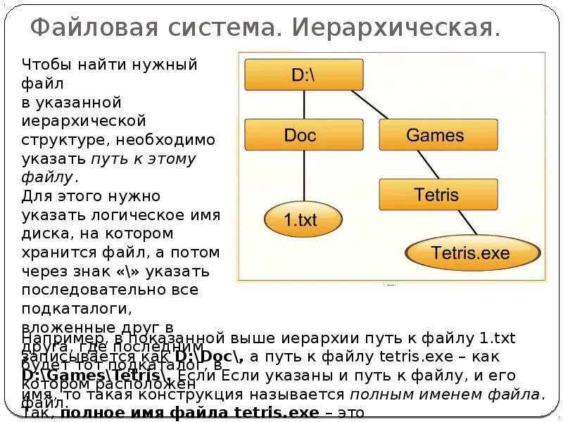 Файловая система. Система иерархии. Иерархичность системы. Иерархия файловой системы.