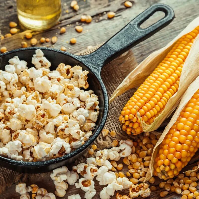 Сорта кукурузы для попкорна. Семена кукуруза попкорн. Кукуруза лопающаяся попкорн. Кукрузные зерно для попкорна. Как делают попкорн из кукурузы