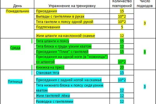 Примерный план тренировок в тренажерном зале для женщин. План тренировок в тренажерном зале для девушек похудеть. Тренировка для девушек в тренажерном зале 3 раза в неделю. Тренировочный план в тренажерном зале для девушек. Работы 1 2 раза в неделю