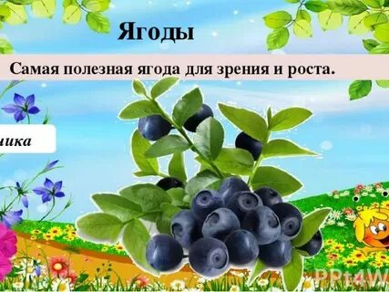 Ягода ростов