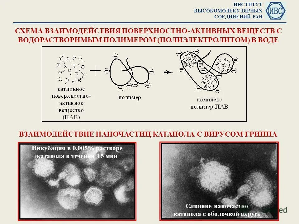 Образование высокомолекулярных соединений. Институт высокомолекулярных соединений. Лаборатория высокомолекулярных соединений. Институт высокомолекулярных соединений РАН Санкт-Петербург. Взаимодействие полиэлектролитов с вирусами.