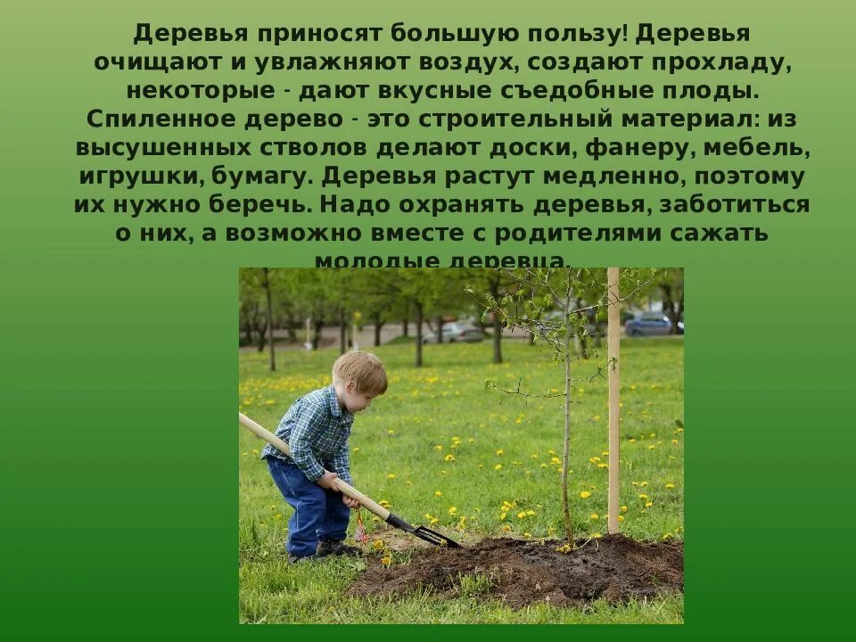 Какую пользу приносит лес. Польза деревьев для детей. деревья очищают и увлажняют воздух. какую пользу приносят деревья. посадка деревьев для презентации.