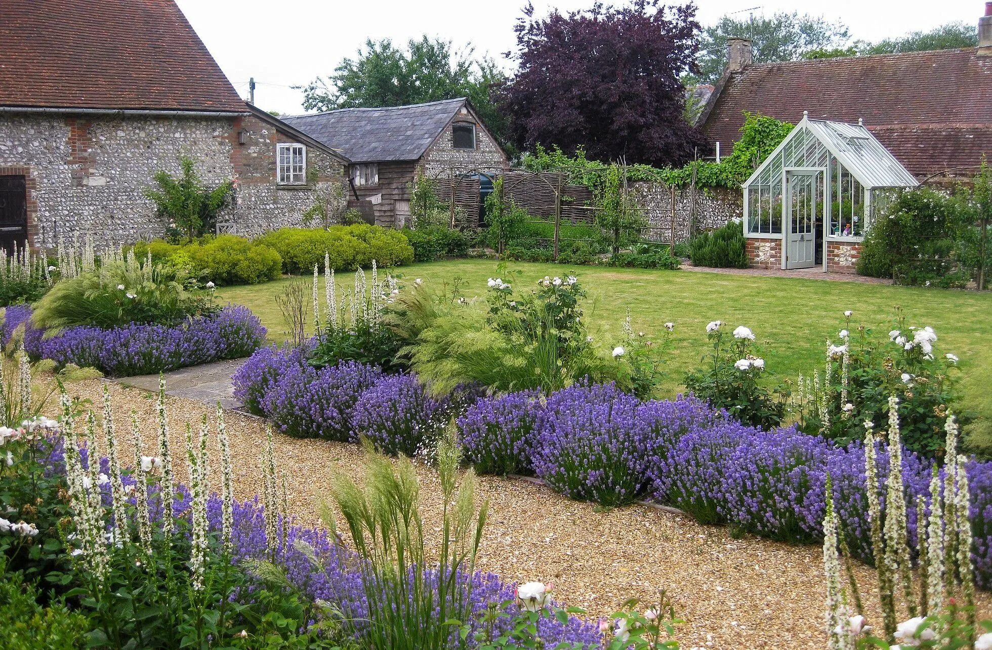 Lavandula officinalis. Котовник фассена, с1. Клумба с розмарином и лавандой. Лаванда котовник шалфей. Лаванда узколистная rosea.