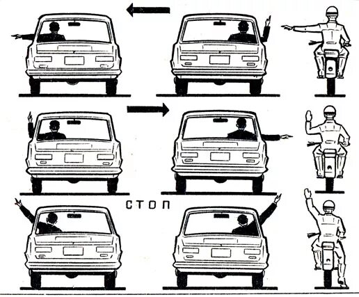 Сигналы рукой водителя пдд. Жесты рукой водителя ПДД. Предупредительные сигналы поворотники автомобиля. Сигналы поворота рукой ПДД. Стгнелы водителя руками.