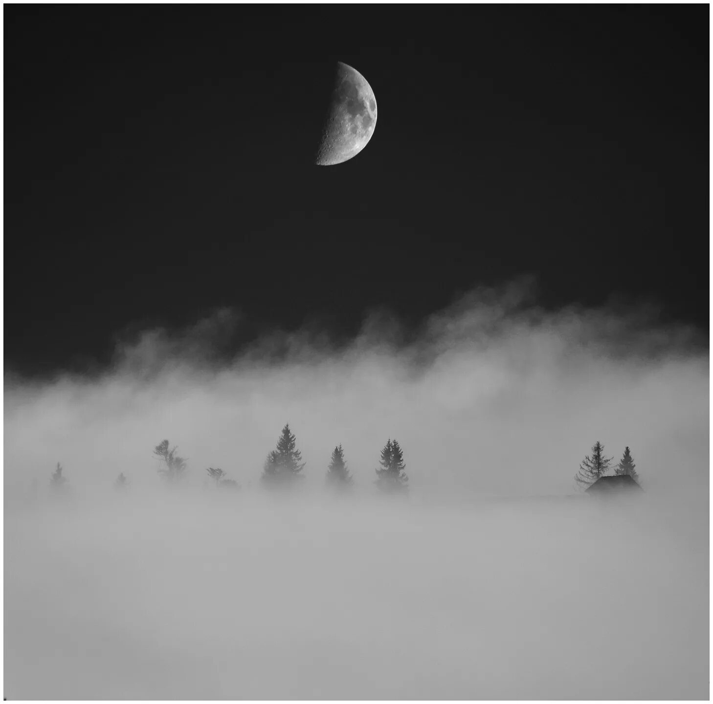 Страх да туман. Туман надвигается мы обречены. Наползающий туман референс. Луна во мгле перебегала.