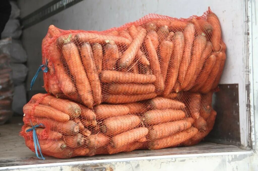 Купить морковь оптом. Мешок моркови. Морковь, сетка. Морковка в сетке. Килограмм моркови.