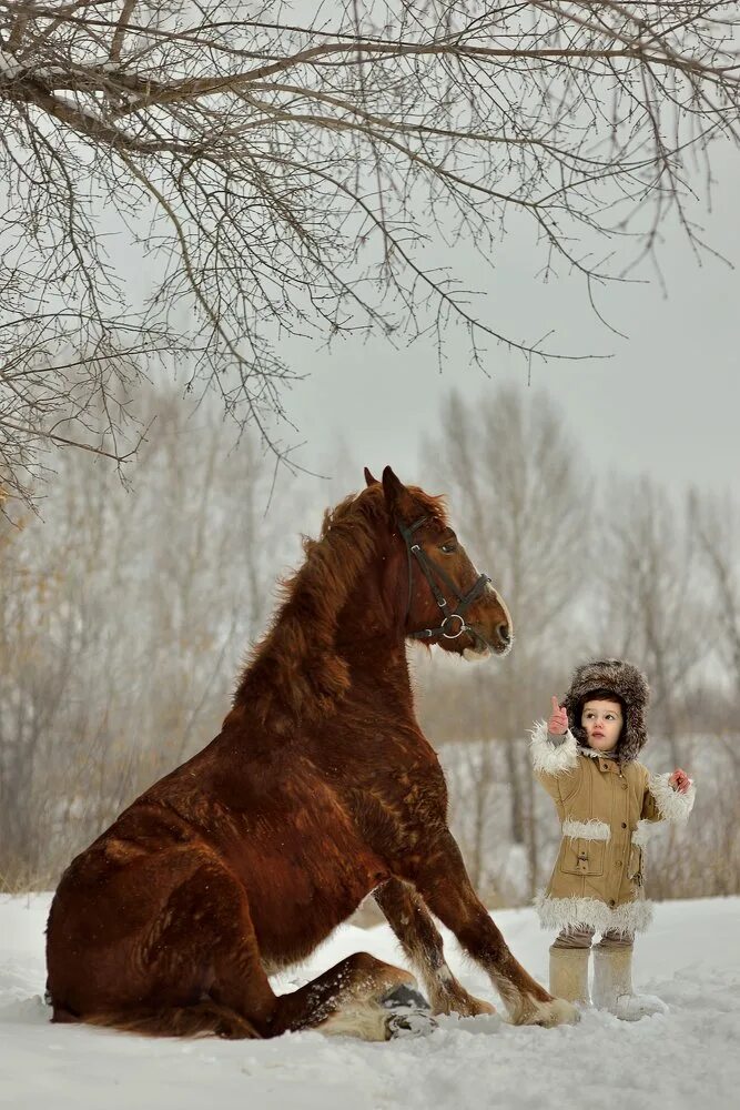 Год собаки лошадь. Лошадь и собака. Мальчик на лошади. Мальчик и конь. Фотосессия с лошадью и собакой.