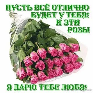 Я подарила их