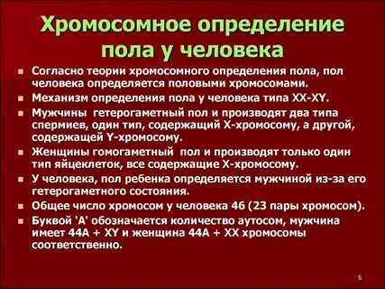 Какие хромосомы определяют пол