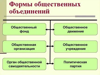 Дайте характеристику общественным организациям