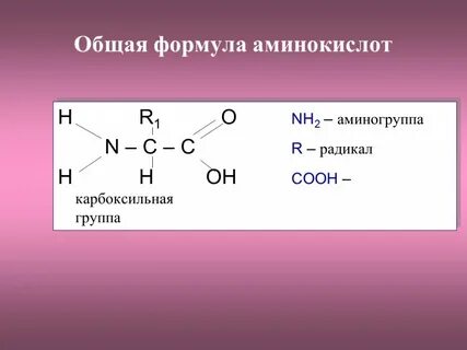 Формула аминоуксусной кислоты
