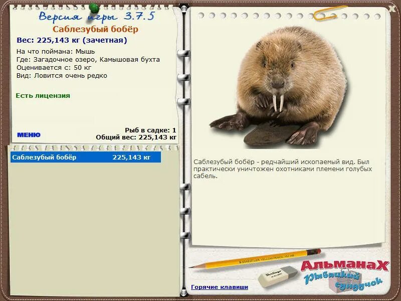 Большие бобры. Какой вес бобра. Бобр хвост. Какой вес бобра. Какой вес бобра.