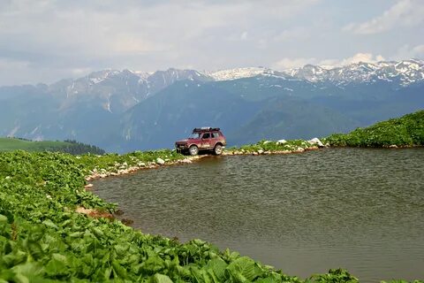 Арабика абхазия