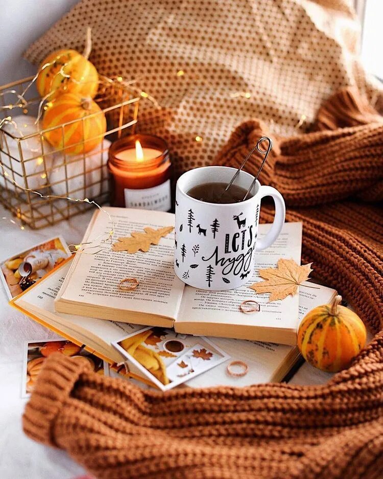 Осеннее утро дома. Вид из деревенского окна. Осеннее утро дома. Осень чай плед. Уютное осеннее утро.