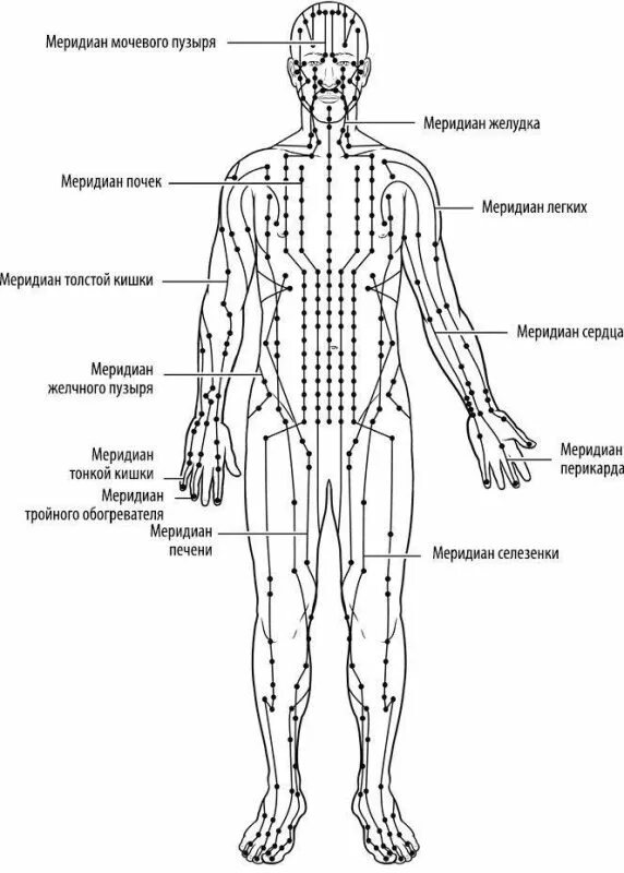 Меридианы человека китайская. Энергетические меридианы человека схема. Меридиан человека схема энергетических каналов. Энергетические меридианы человека китайская медицина. Меридианы человека схема и направления по часам.