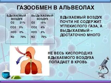 Очищает вдыхаемый воздух