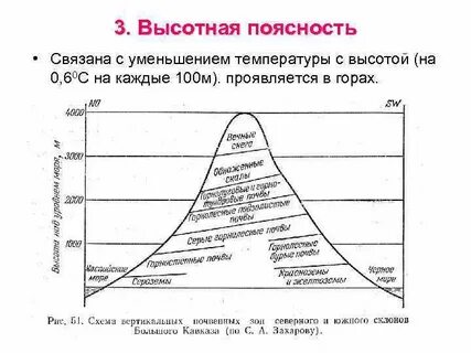 Высотная поясность крыма