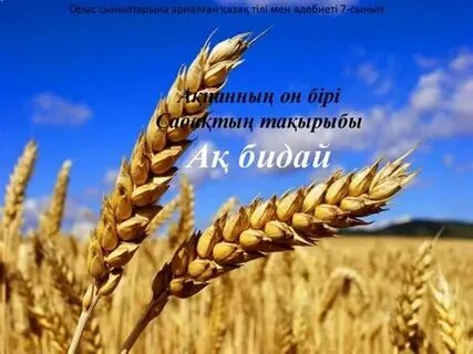 Пизда мүшесін ысқылайды