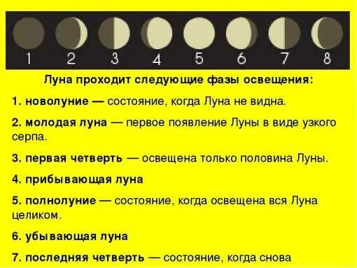 Фазы луны описание. Фаза растущей луны. Фазы луны по цифрам. Что значит растущий день. Что значит растущий день.