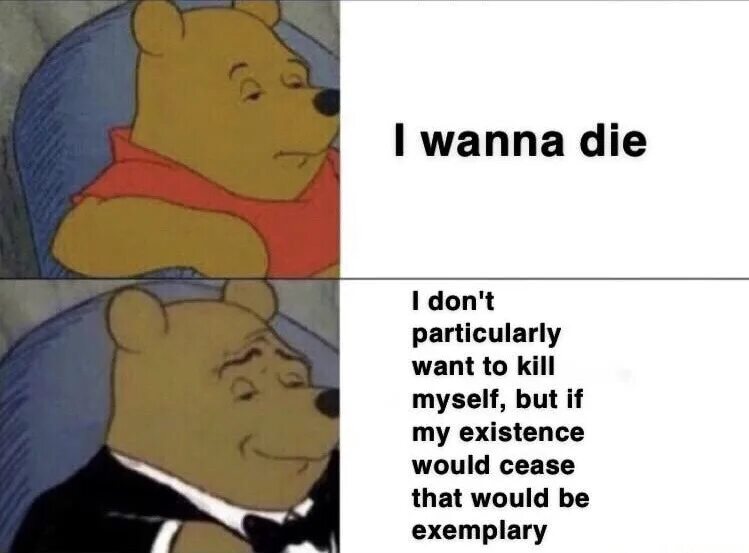 I please myself. Kill myself. Wanna Kill myself. I want Kill myself. I wanna die Мем.
