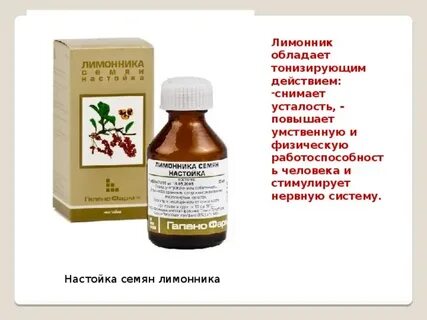 Лимонник повышает или понижает давление