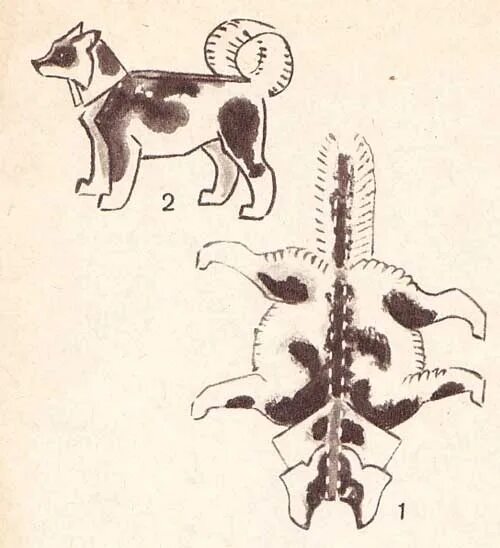 Бумажные собаки. Собака из бумаги объемная. Бумажные собачки из тик тока. Энциклопедия стрелкового оружия. Бумажные собаки из тт схема.