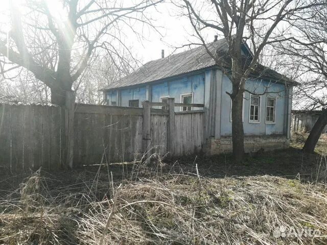 Красный хутор курская область. Луговое курская область. Село бупел. Луговое курская область. Кубанский луг.