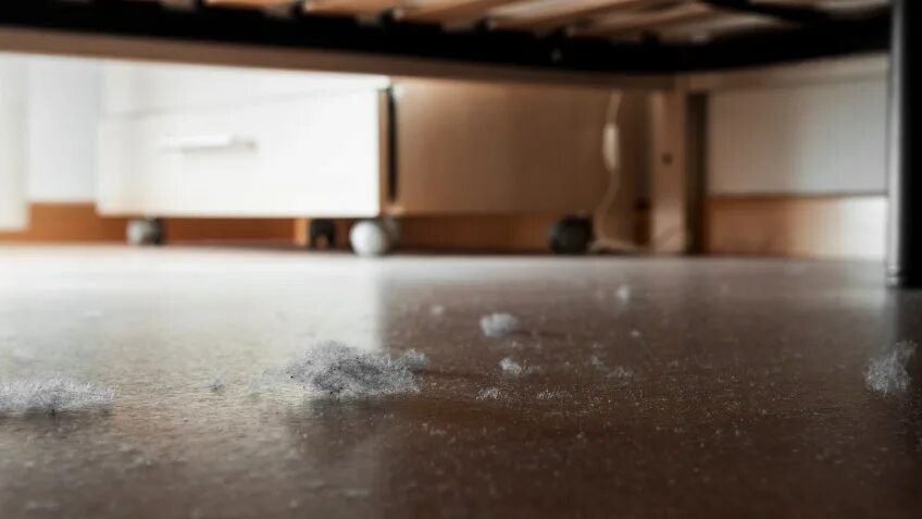 много пыли. пыль. пыль фото. пыль. пыль.