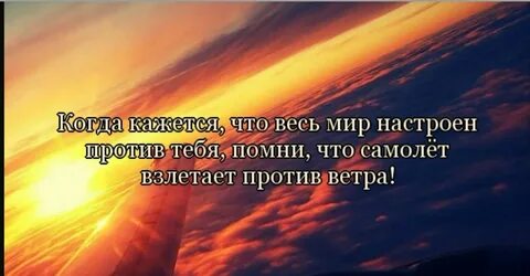 Все настроено против