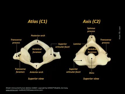 Atlas c