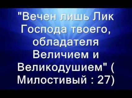 Вечна лишь