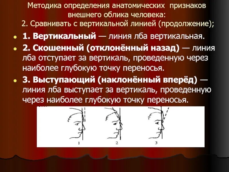 Линия облика. Анатомические признаки внешнего облика человека. описание анатомических признаков внешности человека. методика это определение. методика определения характера.