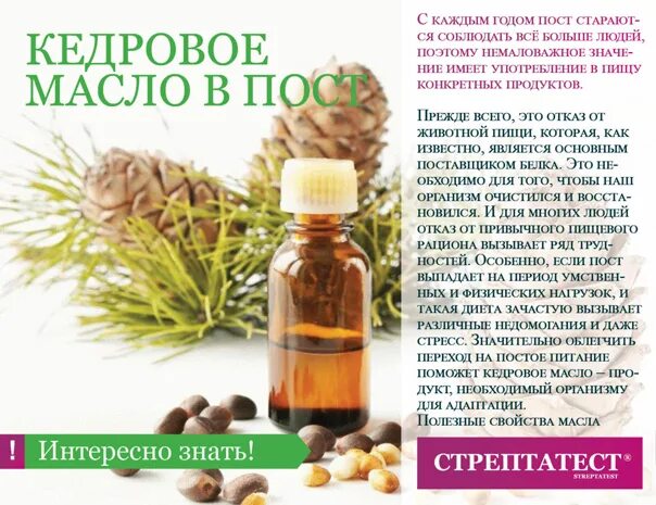 Кедровое масло с живицей 10 процентов. Масло кедровое 250 мл. Рецепт кедрового масла. Рецепт кедрового масла. Здрава масло "кедровое", 100мл.