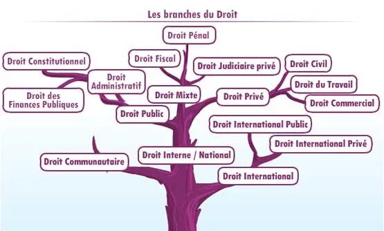 Droit de cuissage. Droit de cuissage. Hsa. Hsa. Droit de cuissage.