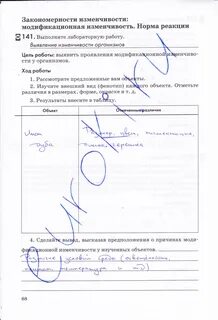 Лабораторная работа no 1 изменчивость организмов
