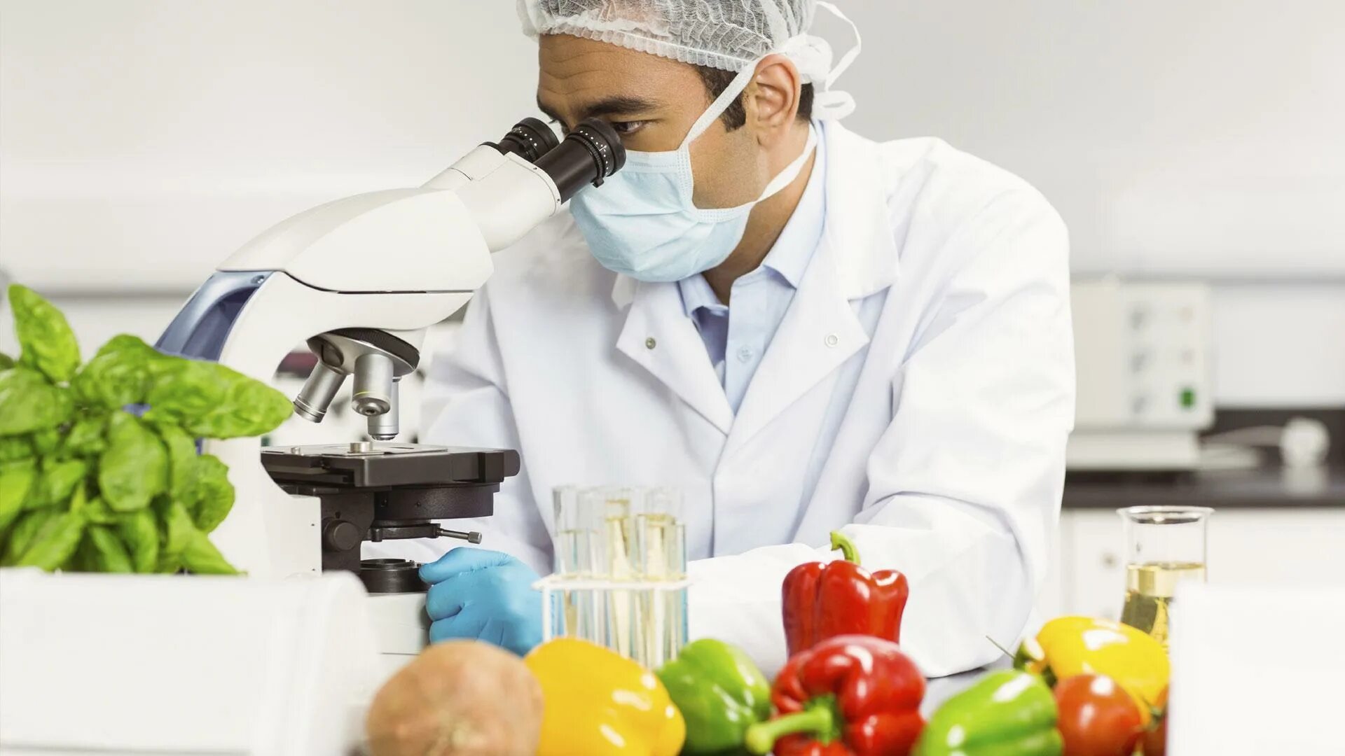 Испытания пищевой продукции. Овощи в лаборатории. Исследование пищевых продуктов. Контроль качества пищевых продуктов. Лабораторные исследования продуктов.