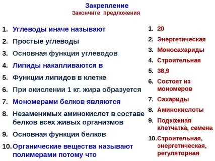 Углеводы варианты ответов
